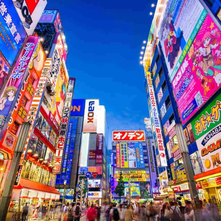 Akihabara Electric Town at dusk — neon-lit buildings and anime billboards crowd the Tokyo skyline