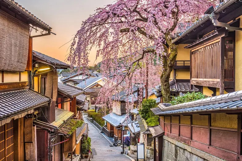 Traditional Kyoto alleyway at sunset lined with machiya townhouses and a weeping cherry blossom tree