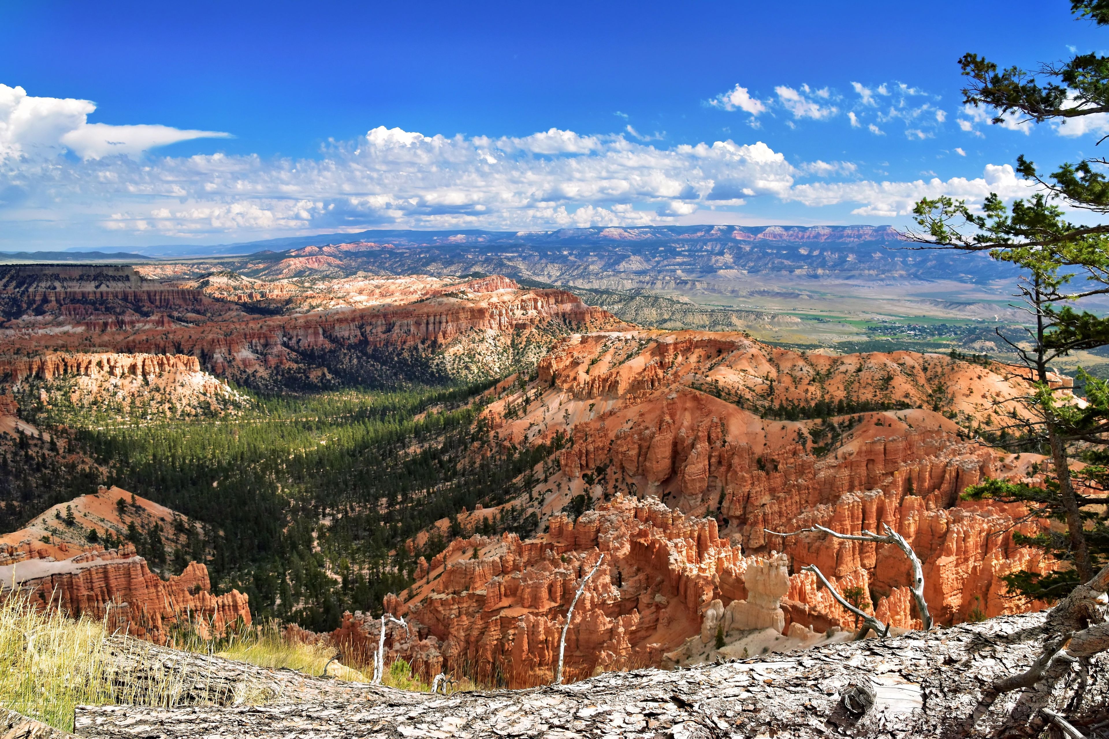 Lush green fairway winding through black lava rock with towering red sandstone canyon walls, Utah desert