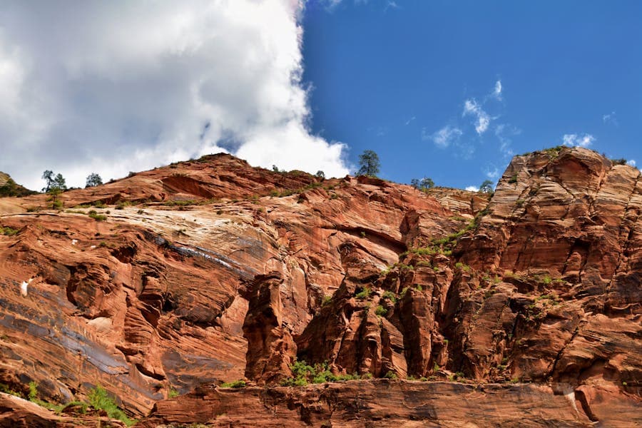 Zion National Park — scenic landscape